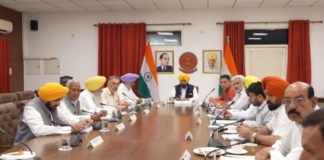 ਪੰਜਾਬ ਵਿੱਚ ਰੁੱਖਾਂ ਦੀ ਕਟਾਈ ‘ਤੇ ਨਵਾਂ ਕਾਨੂੰਨ: ਇੱਕ ਦਰੱਖਤ ਕੱਟਣ ‘ਤੇ ਲਗਾਉਣੇ ਪੈਣਗੇ 10 ਬੂਟੇ, 50 ਹਜ਼ਾਰ ਤੱਕ ਜੁਰਮਾਨੇ ਦੀ ਵਿਵਸਥਾ